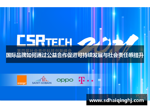 国际品牌如何通过公益合作促进可持续发展与社会责任感提升